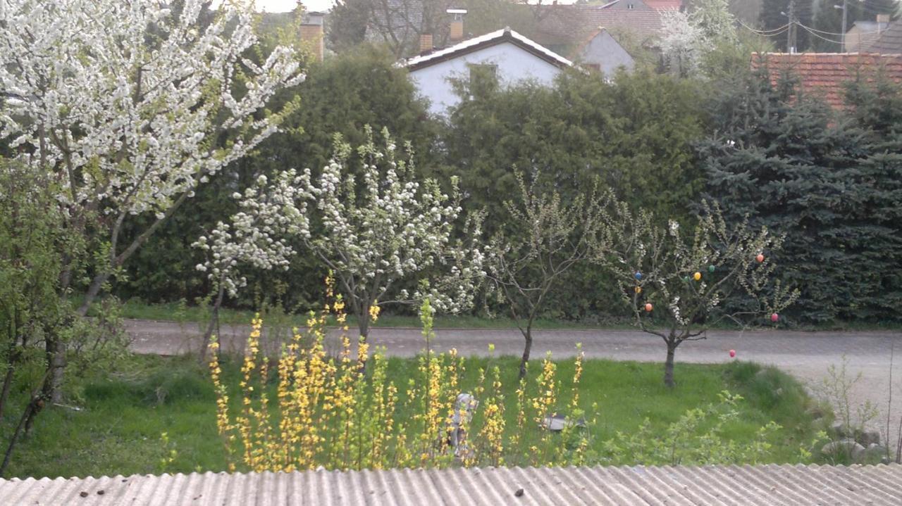 Restaurant Pension Lubusch Gahro Dış mekan fotoğraf